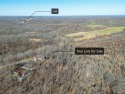 Peace & serenity with spectacular views and amenities right at for sale in Bella Vista Arkansas Benton County County on GolfHomes.com