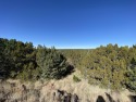Don't miss this one. Water Front Property on Silver Creek. This for sale in Show Low Arizona Navajo County County on GolfHomes.com