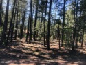 BONUS: The connection fees for sewer have been previously paid for sale in Pinetop-Lakeside Arizona Navajo County County on GolfHomes.com