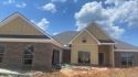 This beautiful Maple Plan (Lot 1) features EVP flooring in the for sale in Foley Alabama Baldwin County County on GolfHomes.com
