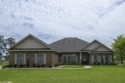 This Beautiful 4 bedroom 3 bath brick Gold Fortified home for sale in Foley Alabama Baldwin County County on GolfHomes.com