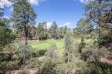 Beautiful large lot with a raised elevation overlooking the for sale in Payson Arizona Gila County County on GolfHomes.com