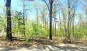 This lovely wooded lot in seems remote, but is very close to all for sale in Bella Vista Arkansas Benton County County on GolfHomes.com