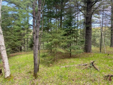 Timber Ridge Wooded Lot SOLD for sale on GolfHomes.com