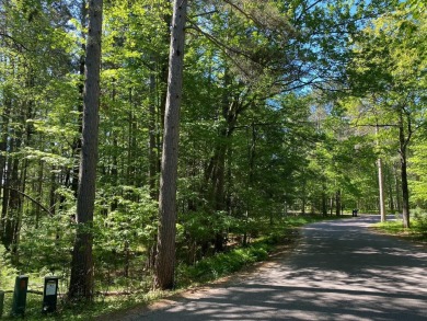 Wooded Lot in Timber Ridge for sale on GolfHomes.com