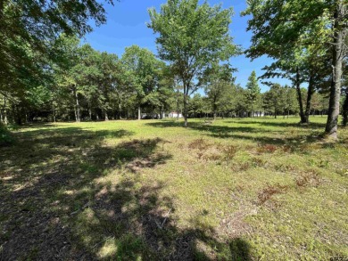 SPRING IS DRAWING NEAR AT LAKE BOB SANDLIN! GET AHEAD OF THE on Princedale Golf Club in Texas - for sale on GolfHomes.com, golf home, golf lot