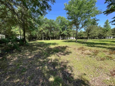 SPRING IS DRAWING NEAR AT LAKE BOB SANDLIN! GET AHEAD OF THE on Princedale Golf Club in Texas - for sale on GolfHomes.com, golf home, golf lot