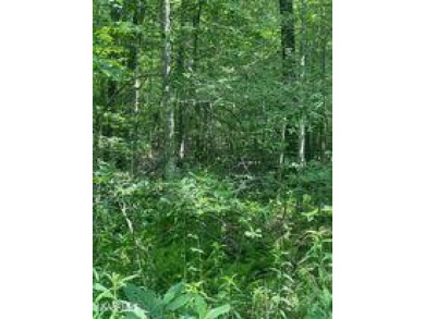 Nice buildable lot in the Comanche subdivision with Natural Gas on Lake Tansi Village Country Club in Tennessee - for sale on GolfHomes.com, golf home, golf lot