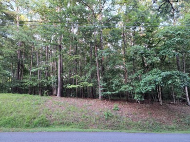 Very nice wooded lot. Bring your builder. Slight view of water on Stillwaters Golf and Country Club in Alabama - for sale on GolfHomes.com, golf home, golf lot