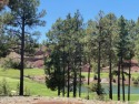 Welcome to Lot 169 with nearly 3/4  acre in Flagstaff Ranch, a for sale in Flagstaff Arizona Coconino County County on GolfHomes.com