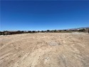 Right On The Golf Course!  This Beautiful, OVERSIZED, 17,860 sq for sale in Mohave Valley Arizona Mohave County County on GolfHomes.com