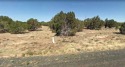 46 acre lot in nice residential area. Quiet neighborhood for sale in Concho Arizona Apache County County on GolfHomes.com