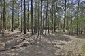 Oversized, level residential  building lot with mature ponderosa for sale in Pinetop Arizona Navajo County County on GolfHomes.com