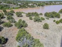 On the LAKE! Close to half an acre the ONLY waterfront lot on for sale in Show Low Arizona Navajo County County on GolfHomes.com
